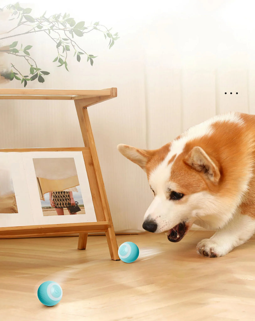 2023 NEW Electric Dog Toys | Smart Puppy Ball Toys For Cat | Small Dogs | Funny Auto Rolling Ball | Self-moving Puppy Games Toys | Pet Supplies
