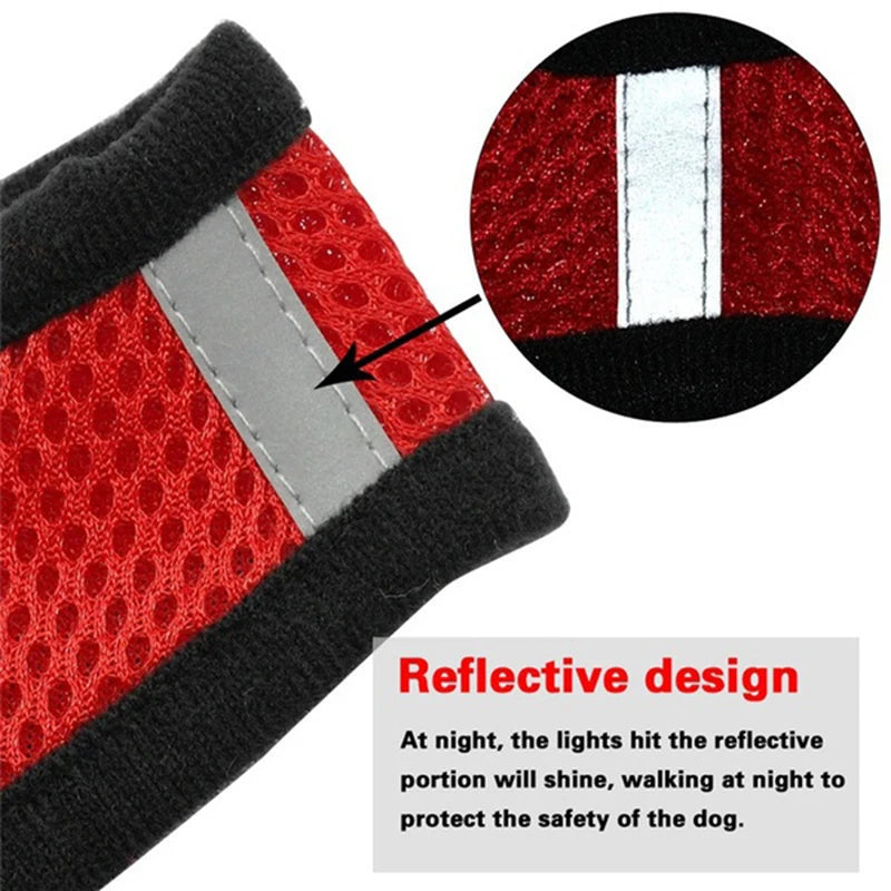 Cat Dog Harness With Lead Leash | Adjustable Vest | Polyester Mesh | Breathable Harnesses | Reflective Strap - Small Dog Cat Accessories
