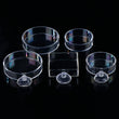 Acrylic Transparent Shrimp Feeder – Lightweight Durable Fish & Shrimp Feeding Container