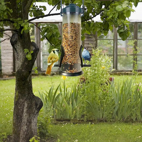 Bird Seed Feeder | Hanging Bird Feeder | Wild Bird Seed Feeder | Garden Paddock Bird Feeding Tool | Pet Supplies For Small Birds