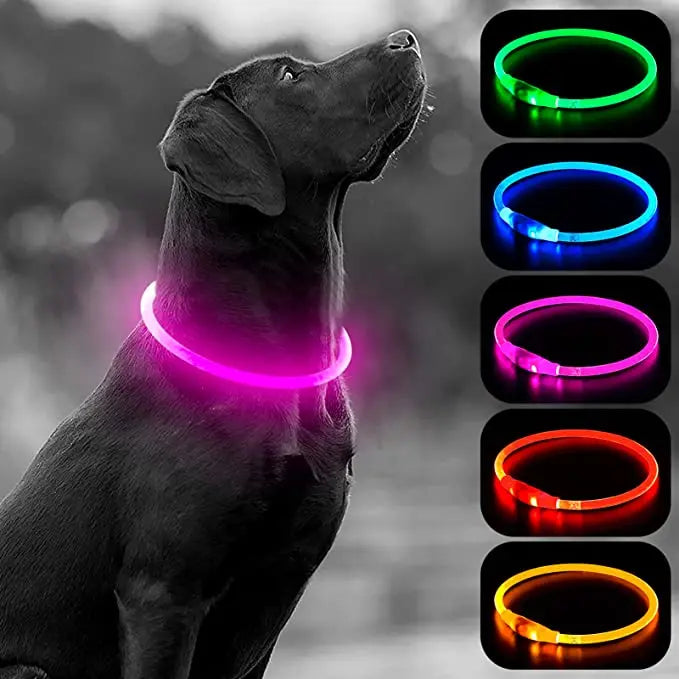 LED Luminous Dog Collar USB Charging Flashing Glowing Safety Anti-Lost Collar for Cats and Dogs          Ask ChatGPT