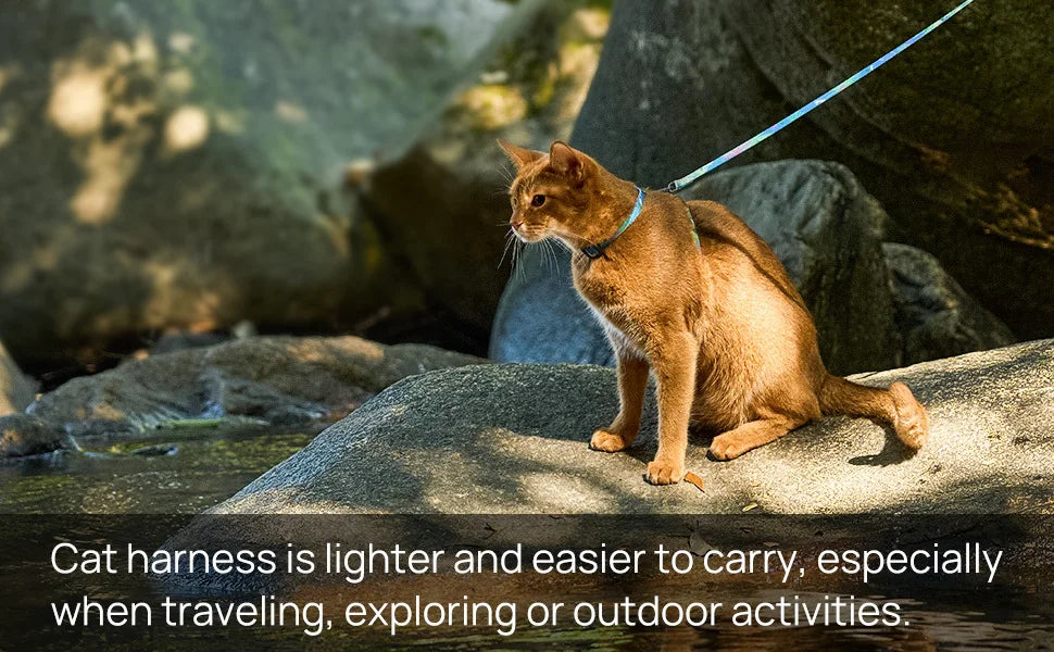 Cat Carrier – Lightweight & Escape-Proof | Adjustable Soft Harness & Leash Set for Walking & Travel | Secure & Breathable Kitten Harness