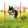 Outdoor Dog Obstacle Training Set – Agility Equipment for All Breeds