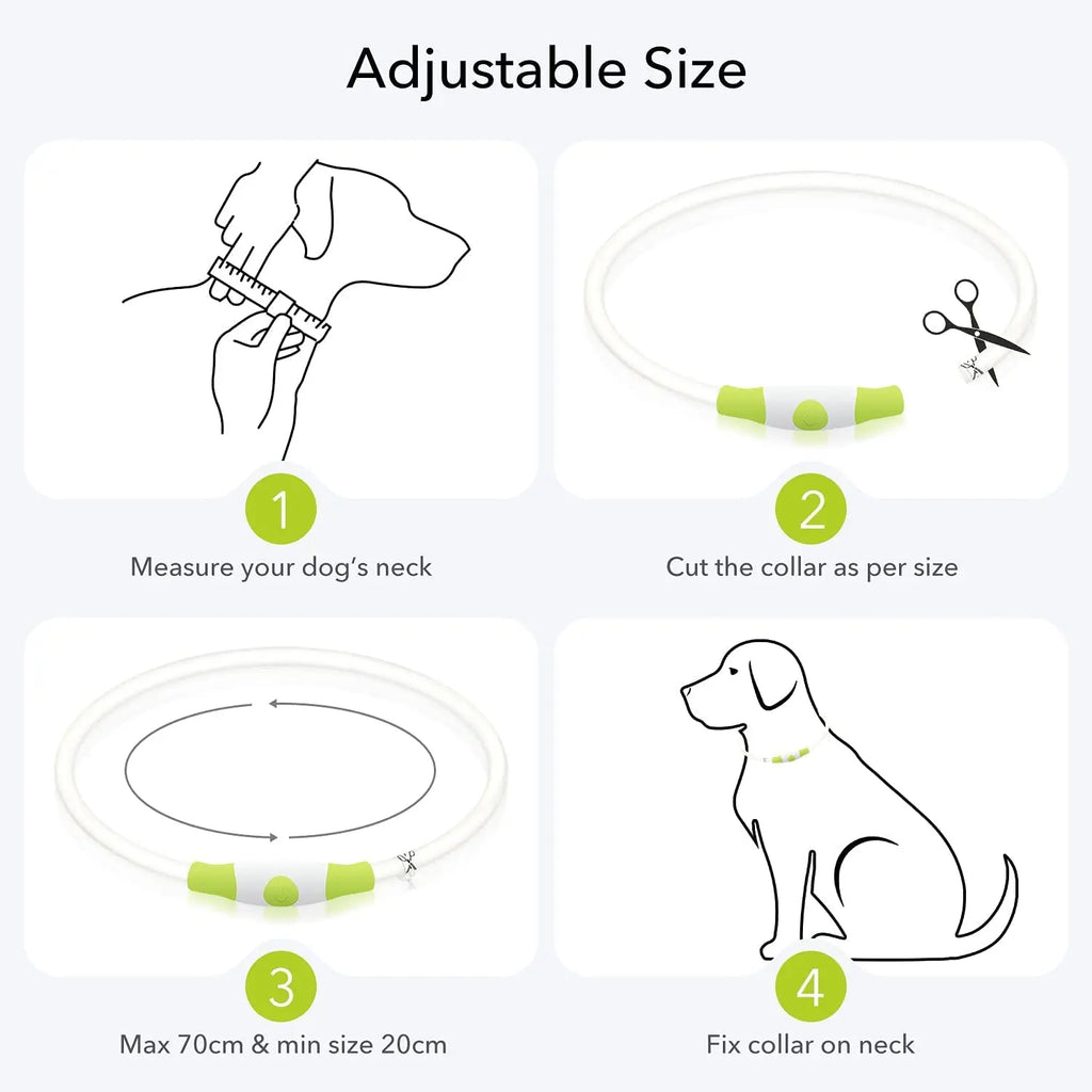 LED Luminous Dog Collar Light Rechargeable Flashing Safety Collar for Nighttime Walking