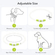 LED Luminous Dog Collar Light Rechargeable Flashing Safety Collar for Nighttime Walking