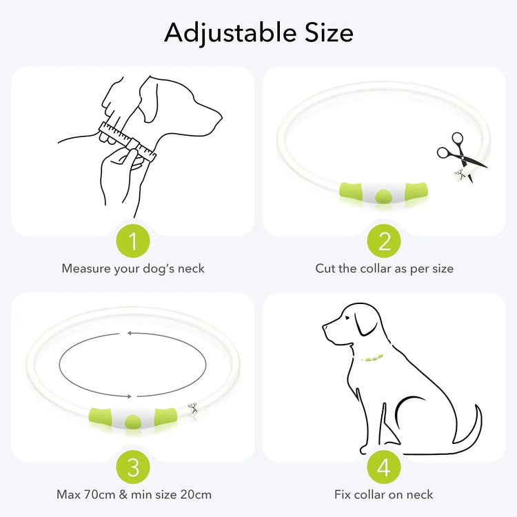LED Luminous Dog Collar Light Rechargeable Flashing Safety Collar for Nighttime Walking
