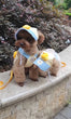 Comfort Cotton Harness & Leash Set – For Small Dogs, Cats & Bunnies