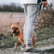 Canvas Dog Treat Bag – Portable Outdoor Training Snack Pouch with Automatic Closure