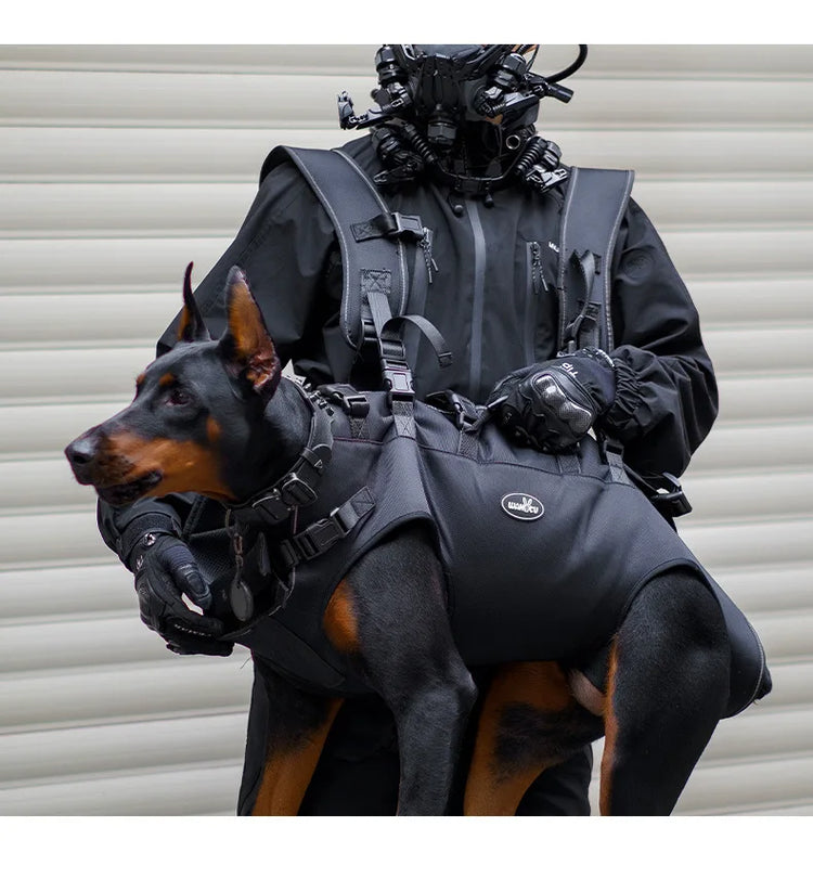 Outdoor Dog Carrier Backpack for Large Breeds – Hiking & Travel Pet Carrier