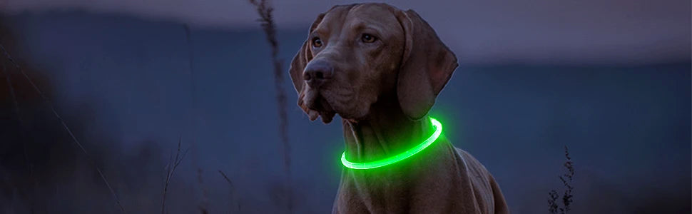 LED Luminous Dog Collar Light Rechargeable Flashing Safety Collar for Nighttime Walking