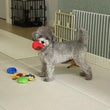 Dog Toy Slow Feeder & Foraging Training Toy – Soft Fleece Squeak Toy for Stress Relief
