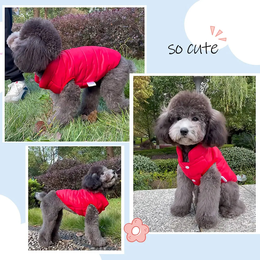 Winter Clothes for Cats & Dogs | Warm Down Jacket Vest | Lightweight Windproof Coat for Small/Medium Pets