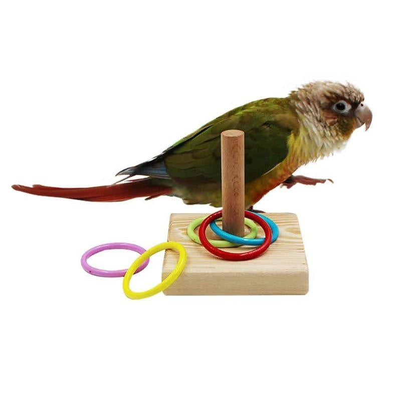 Bird Training Ring Toy | Parrot Educational Toys - Interactive Bird Supplies | Random Color Bird Toy | Wood + Plastic