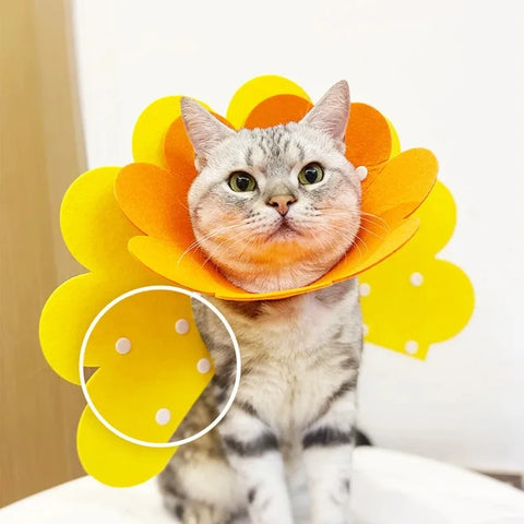 Pet Recovery Collar | Protective Cone for Cats & Dogs | Anti-Bite Lick Wound Healing | Soft Felt E-Collar | Post-Surgery Neck Cone