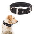 Adjustable Nylon Pet Collar with Traction Ring – Durable and Comfortable Dog Neck Strap