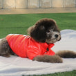 Warm Winter Dog Costume(XS-XL) | Chihuahua Yorkie Coat Clothing | Thick PU Leather Dog Down Jacket