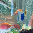 Super Magnetic Aquarium Glass Cleaner Brush – Floating Fish Tank Scraper
