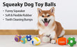 2-in-1 Dog Training & Anti-Bark Collar – Remote Control Shock Collar with Beep, Vibration & Static Modes