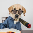 Cigars Dog Toy Dog Chew Toy Dog Prank Toy Squeaky Dog Toy Funny Stuffed Dog Toy D0LD