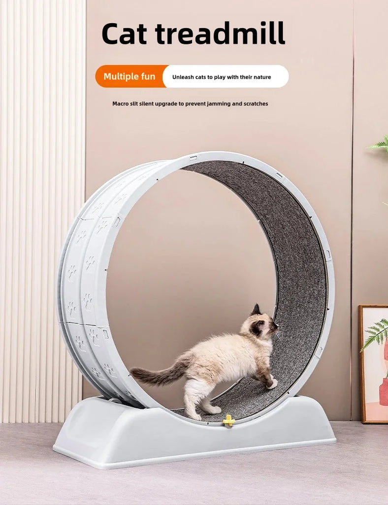 Pet Treadmill – Cat Exercise Wheel for Indoor Parkour | Easy-to-Assemble Cat Roller Toy | Durable Solid Color Cat Treadmill