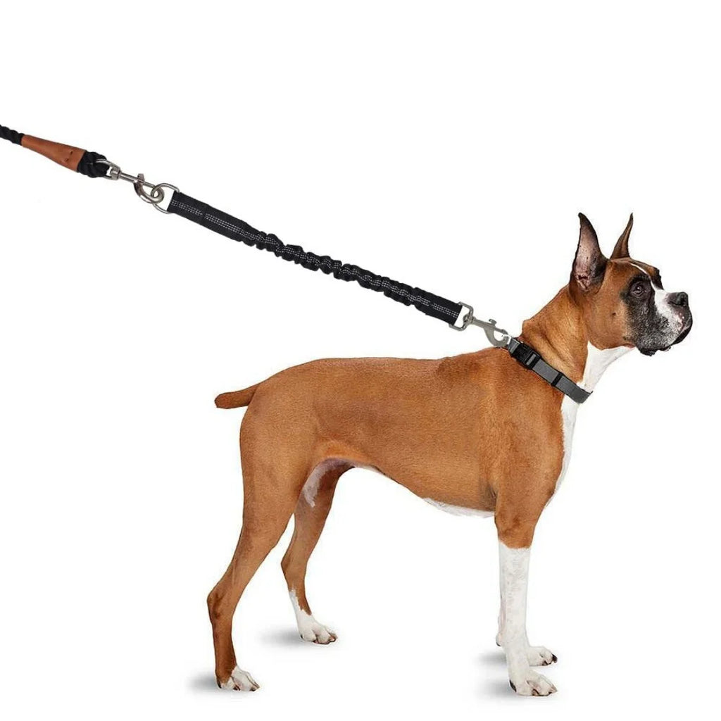 Shock Absorber Dog Leash – Heavy-Duty Elastic Bungee Training Lead for Medium Dogs