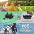 Waterproof Electric Dog Training Collar with Remote – Rechargeable Anti-Bark Device for All Dog Sizes