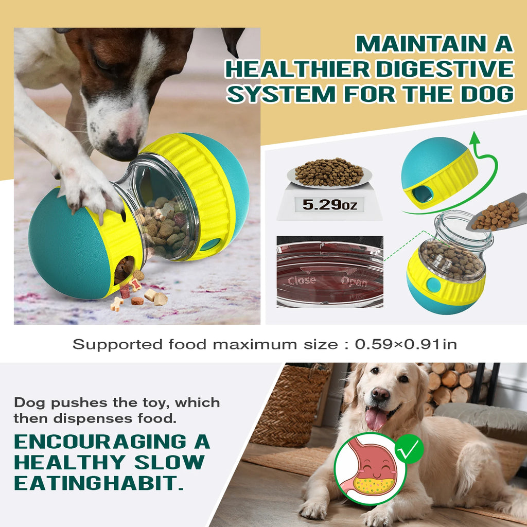 Interactive Dog Toy for Small to Large Dogs & Cats – IQ-Boosting Indoor Training Ball