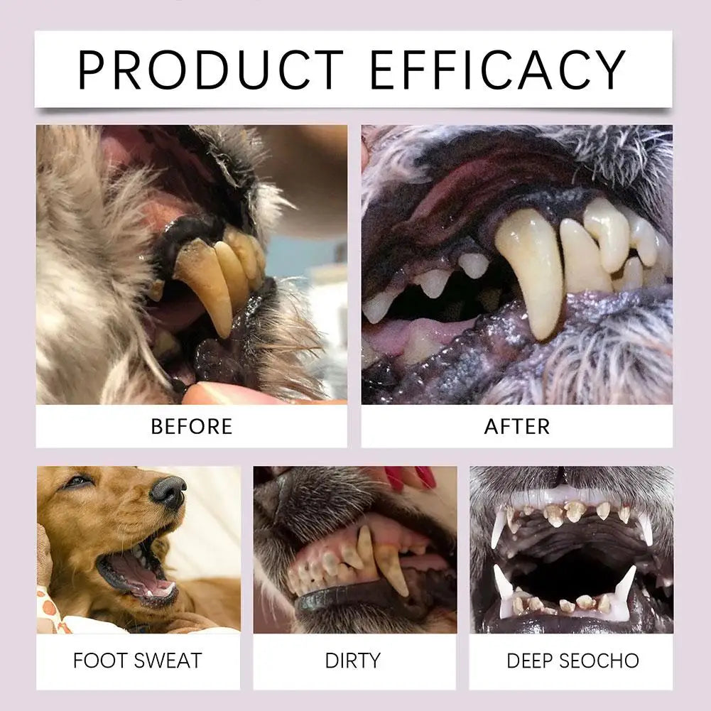 Pet Teeth Cleaning Gel Pen for Dogs and Cats – Oral Care, Breath Freshener, Tartar & Stain Remover