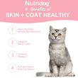 Skin & Coat Cat Chews | Omega 3, Vitamin E, Biotin Supplements | Healthy Skin & Glossy Coat | Anti-Shedding Support | Salmon Flavor