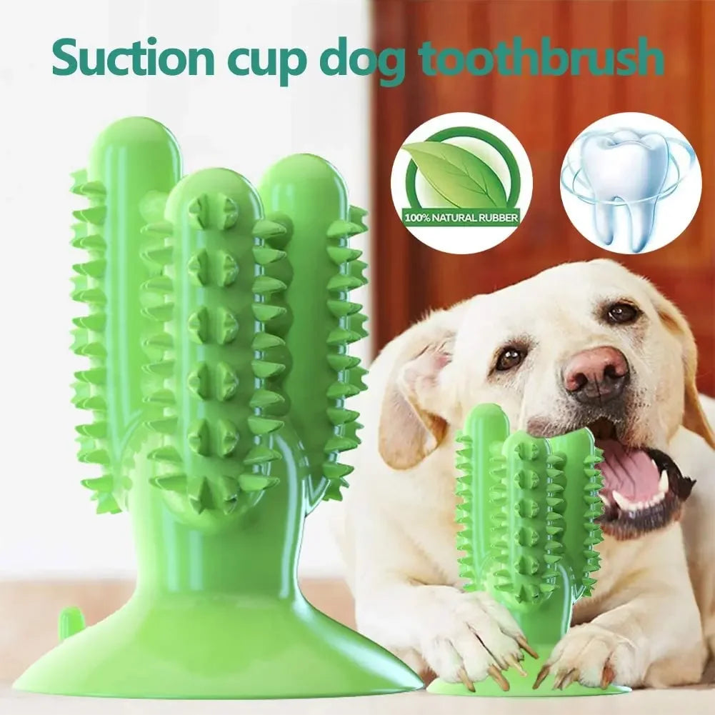 Interactive Dog Toothbrush Toy – Durable Chew Toy for Teeth Cleaning and Training