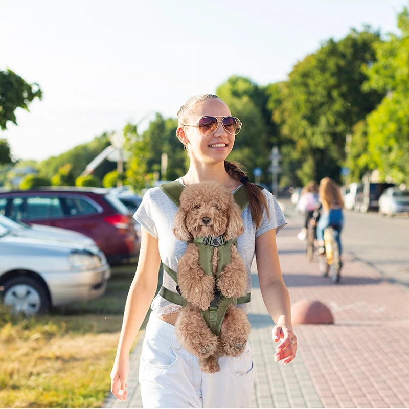 Pet Carriers | Comfortable Dog Backpack | Breathable Travel Bag | Durable Outgoing Carrier for Small Cats/Dogs