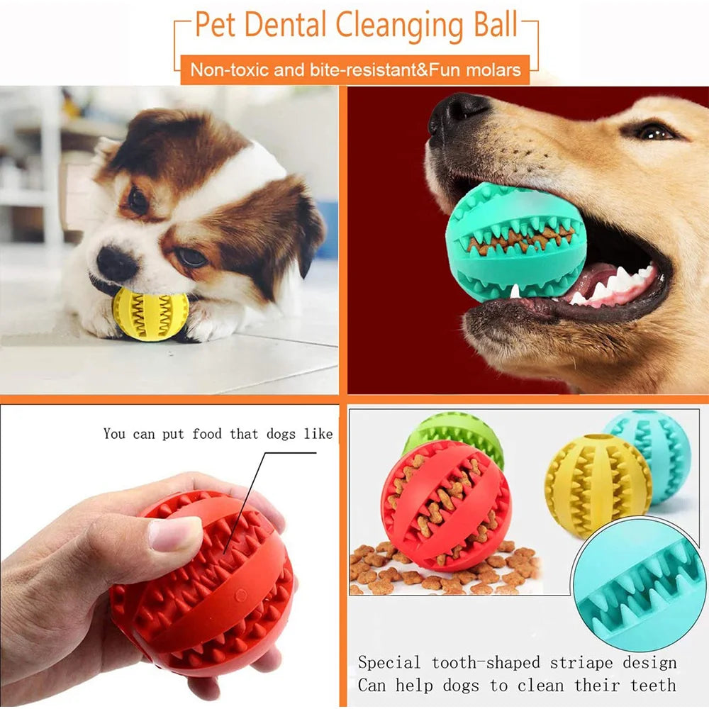 Interactive Rubber Dog Ball Toy – Chew, Clean Teeth & Snack Dispenser