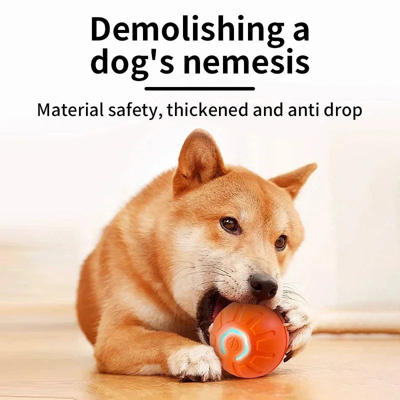 Smart Electronic Dog Toy Ball | USB Automatic Moving & Bouncing Pet Toy | Interactive Puppy Gift | Cat/Dog Products