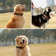 Braided Leather Dog Collar and Leash Set – Durable Genuine Cowhide for Medium & Large Dogs