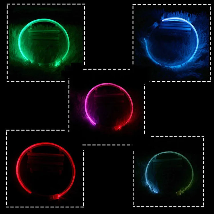 USB Rechargeable LED Luminous Dog Collar – Safety Glowing Night Collar with 3 Light Modes