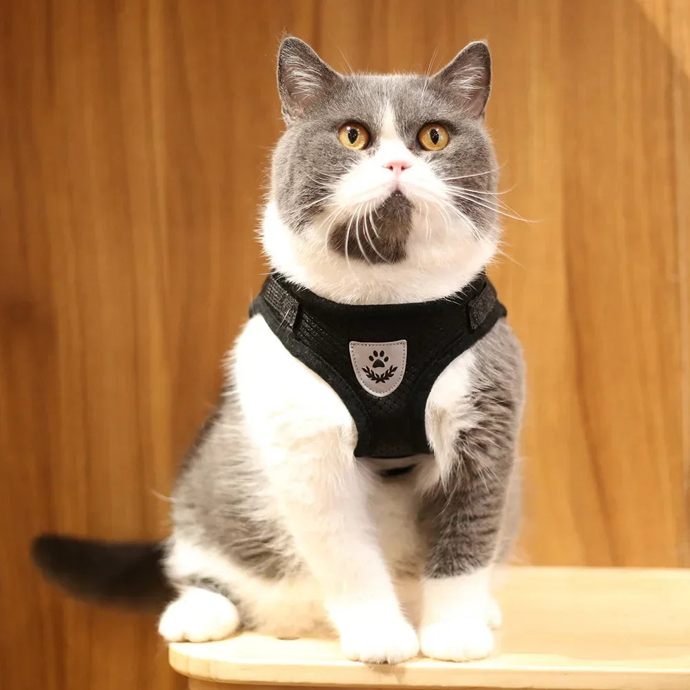 Cat Harness | Lead Leash Set | Adjustable Reflective Escape Proof Pet Mesh Vest Harness | Puppy Dog Collar | Small Dog Cat Pet Supplies