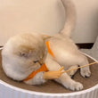 Cat Carrying Bag | Space Pet Backpack | Transparent Portable Dog Carrier