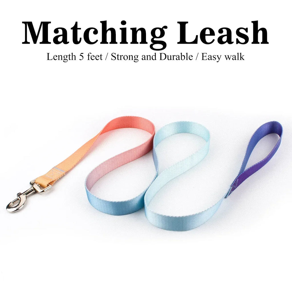 Adjustable Dog Collar & Leash Set – Personalized Nylon Traction Lead for Small to Large Dogs