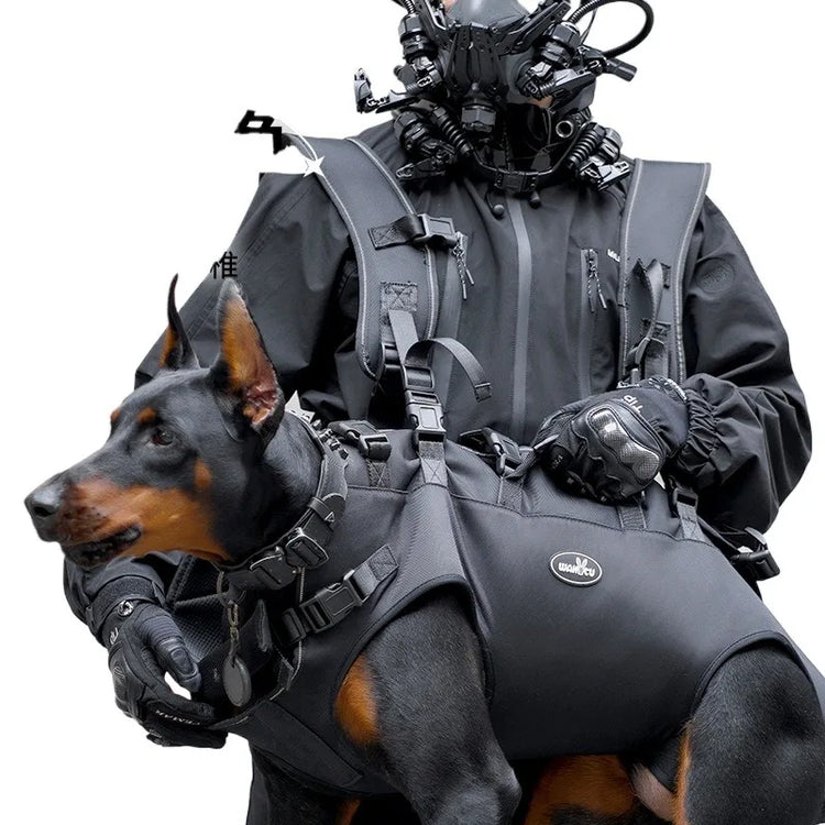 Outdoor Dog Carrier Backpack for Large Breeds – Hiking & Travel Pet Carrier