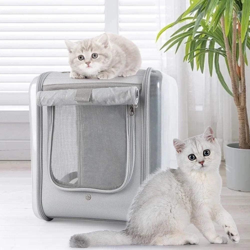 Double Sided Transparent Cat Carrier Backpack | Ventilated Travel Bag for Cats/Small Pets
