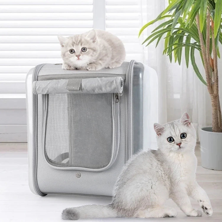 Double Sided Transparent Cat Carrier Backpack | Ventilated Travel Bag for Cats/Small Pets