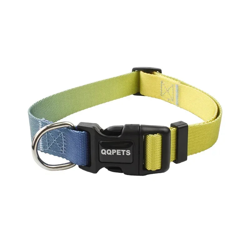 Adjustable Dog Collar & Leash Set – Personalized Nylon Traction Lead for Small to Large Dogs