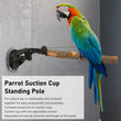 Wood Parrot Perch | Non-Slip Interactive Bird Window Perch with Suction Cups for Small to Medium Birds