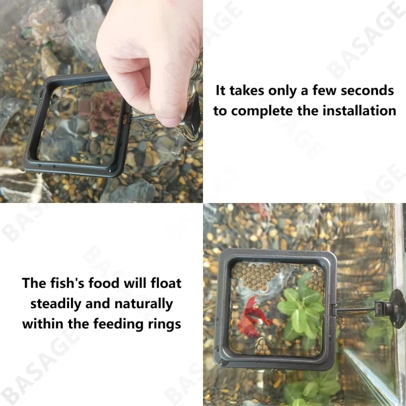 Aquarium Feeding Ring Floating Food Tray with Suction Cup – Square Fish Feeder (Black & Blue)