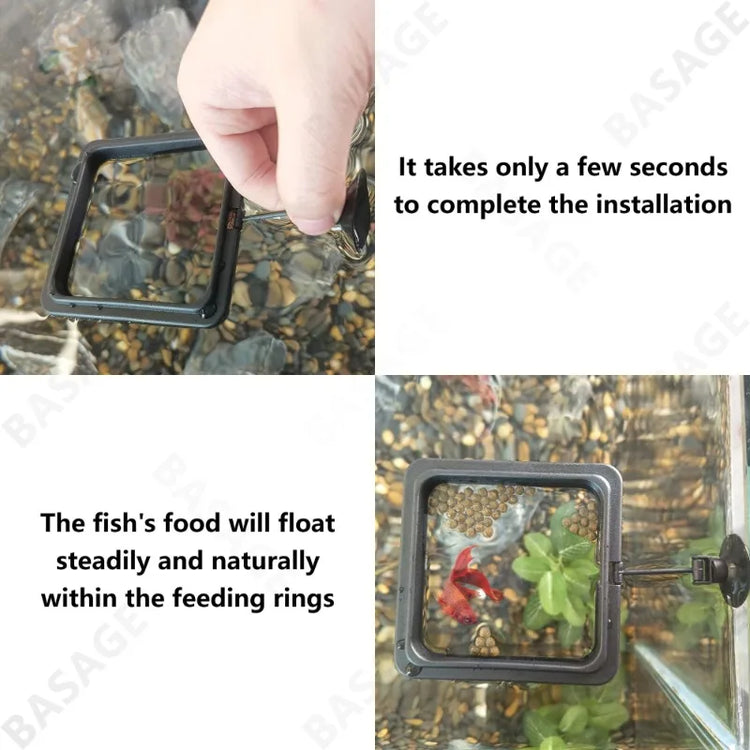 Aquarium Feeding Ring Floating Food Tray with Suction Cup – Square Fish Feeder (Black & Blue)