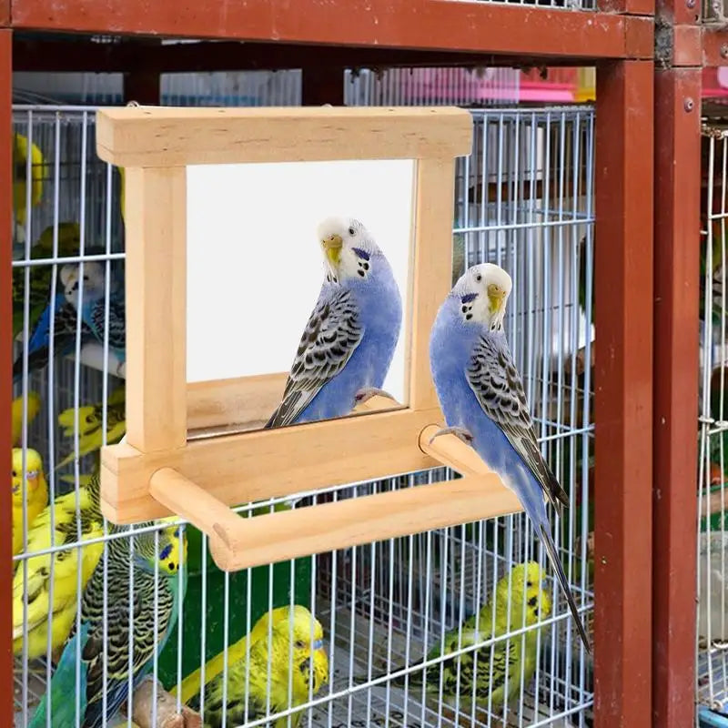 Parrot Perches For Cage | Bird Standing Branch Interactive Parrot Standing Sticks | Wood Parakeet Climbing Branches For Budgies