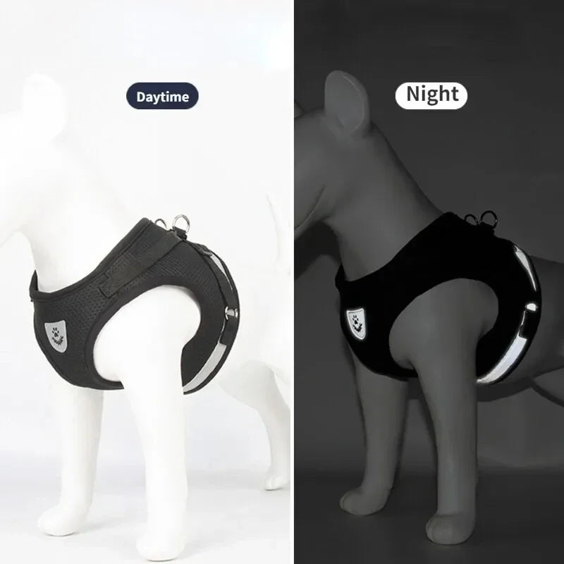 Adjustable Nylon Dog Harness with Walking Lead – Comfortable Mesh Vest for Small and Medium Pets