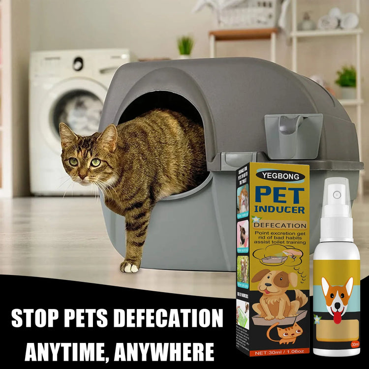 Dog & Cat Potty Training Spray – Pet Toilet Training Aid for Puppies, Kittens & Indoor/Outdoor Use