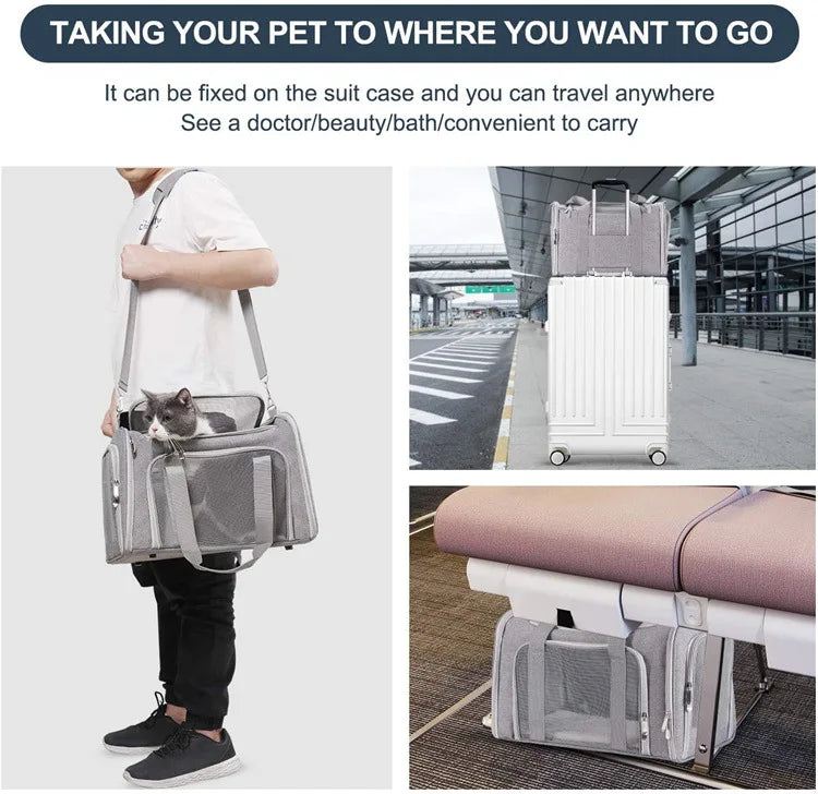 Airline Approved Soft-Sided Pet Carrier Backpack for Small Dogs and Cats