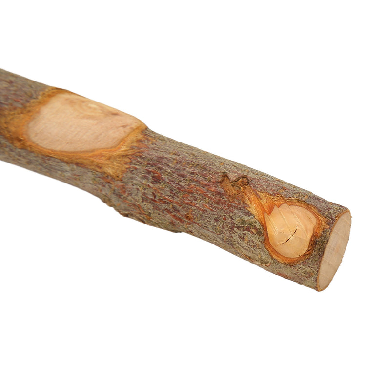 Wood Parrot Perch | Non-Slip Interactive Bird Window Perch with Suction Cups for Small to Medium Birds